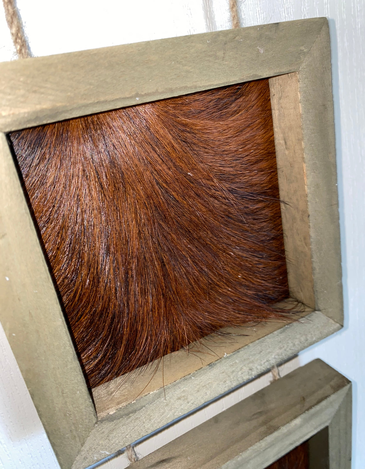 Trio hanging cowhide frame